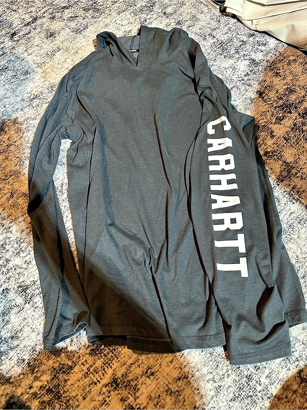 Carhartt Force Relaxed Fit Midweight Long-Sleeve Logo Graphic Hooded T-Shirt